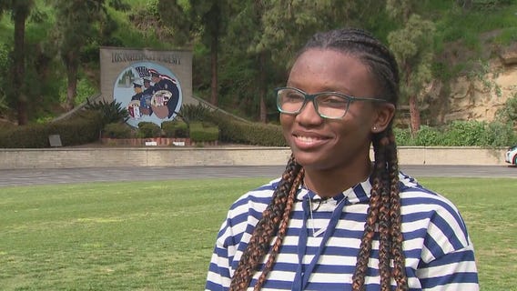 Lovely Lazae in search of a forever home