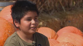 Angel would love a permanent family to call home