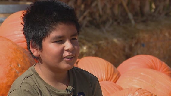 Angel would love a permanent family to call home