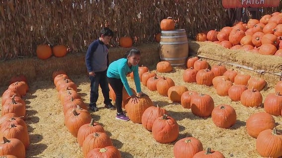 Wednesday's Child: Sweet-loving siblings Roxanne and Ethan would love a forever family