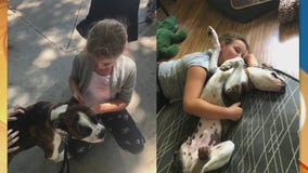 Pet Project Success Story: Hennessy finds his forever home