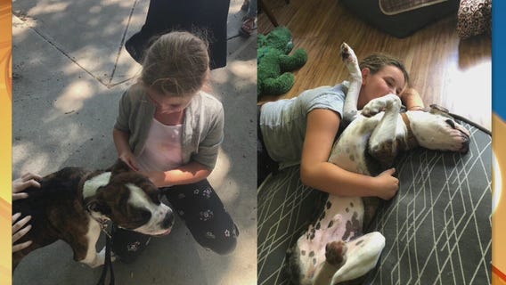 Pet Project Success Story: Hennessy finds his forever home