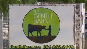 Wednesday's Child: Tyler would love a forever family to call home