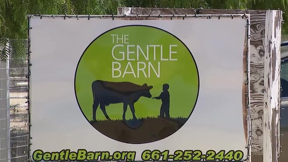 Wednesday's Child: Tyler would love a forever family to call home