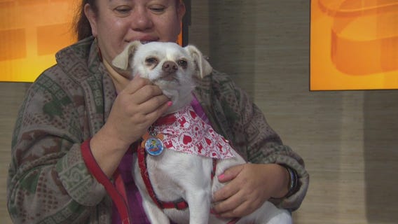 Pet Project: Charlie from Ken-Mar Rescue