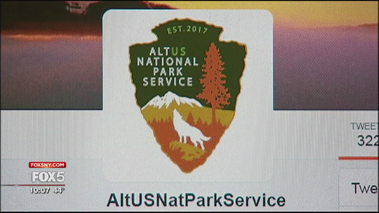 'Rogue' Twitter accounts