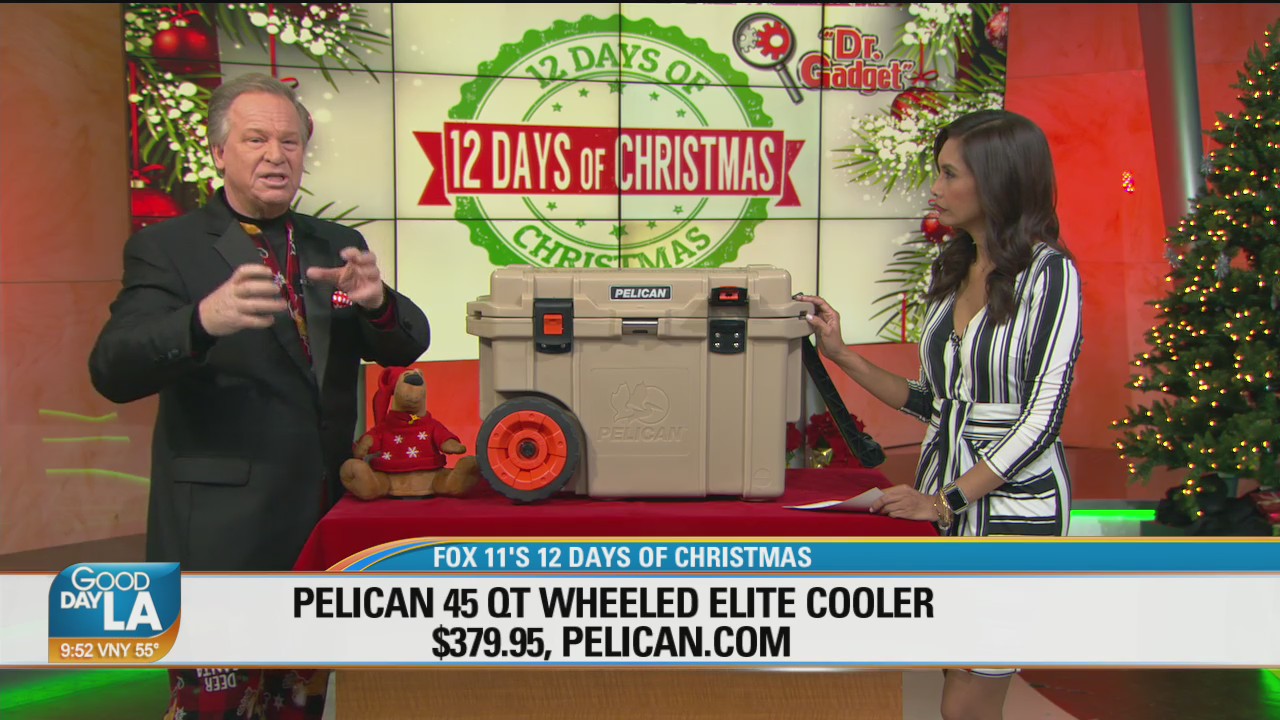 12 Days of Christmas Giveaway with Dr. Gadget! Take a look at some of the prizes up for grabs