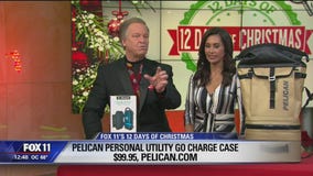 12 Days of Christmas with Dr. Gadget