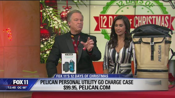 12 Days of Christmas with Dr. Gadget