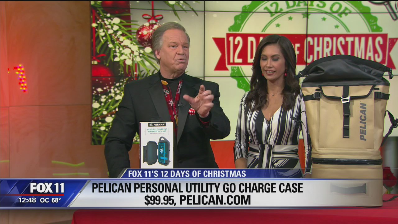 12 Days of Christmas with Dr. Gadget