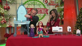 12 Days of Christmas Giveaway: Disney bundle, Backup camera, charger, and dash cam, and barbecue accessories