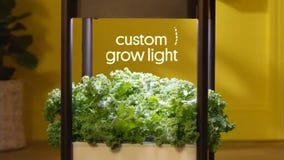 12 Days of Christmas Giveaway: Miracle Gro, Remo Bell, Phone Soap