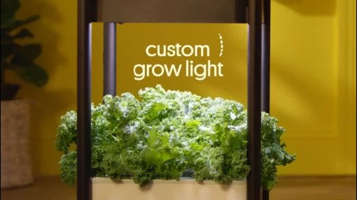 12 Days of Christmas Giveaway: Miracle Gro, Remo Bell, Phone Soap