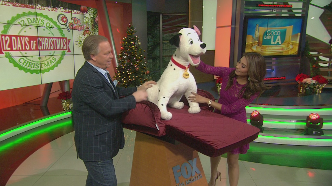 12 Days of Christmas Giveaway: Petmate