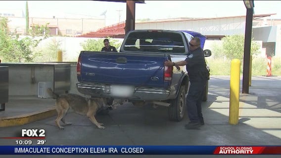 Police dogs' futures uncertain as weed becomes legal in Michigan