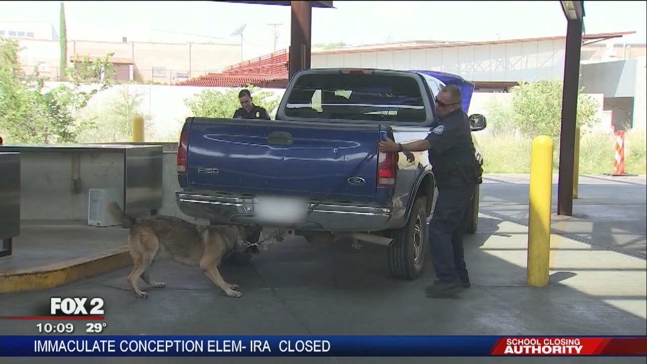 Police dogs' futures uncertain as weed becomes legal in Michigan