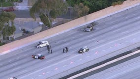 Shooting closes 110 Freeway