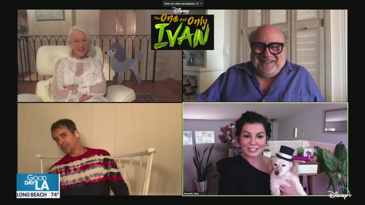 Keep cool inside and stream The One and Only Ivan on Disney+