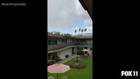 Light snowfall in Arcadia