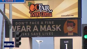 COVID-19 vaccine and LAPD reform