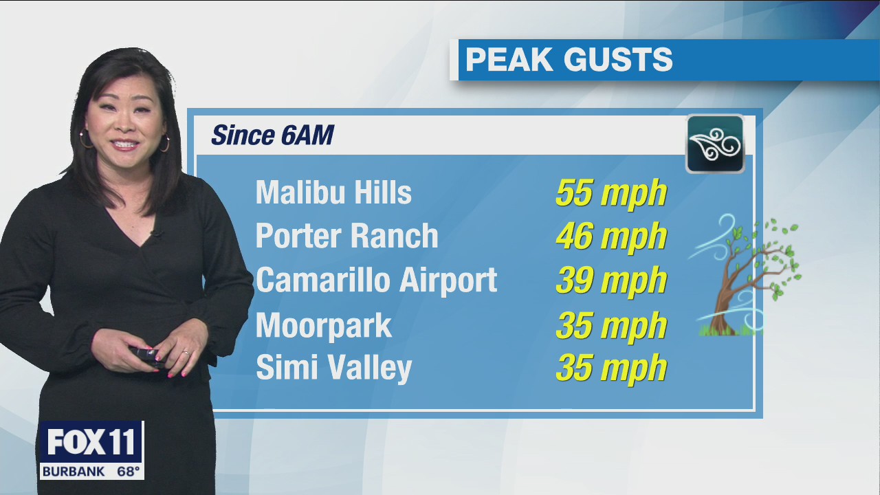 Weather Forecast for Sunday, Feb. 21