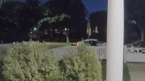 Surveillance video captures the moment Lady Gaga's dogs stolen, walker shot in Los Angeles