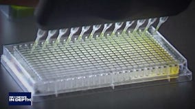 In Depth: Coronavirus vaccine trials, LAUSD lawsuit, Drive-in concerts