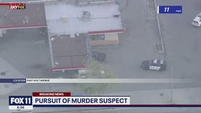 Chase involving possible murder suspect ends in crash