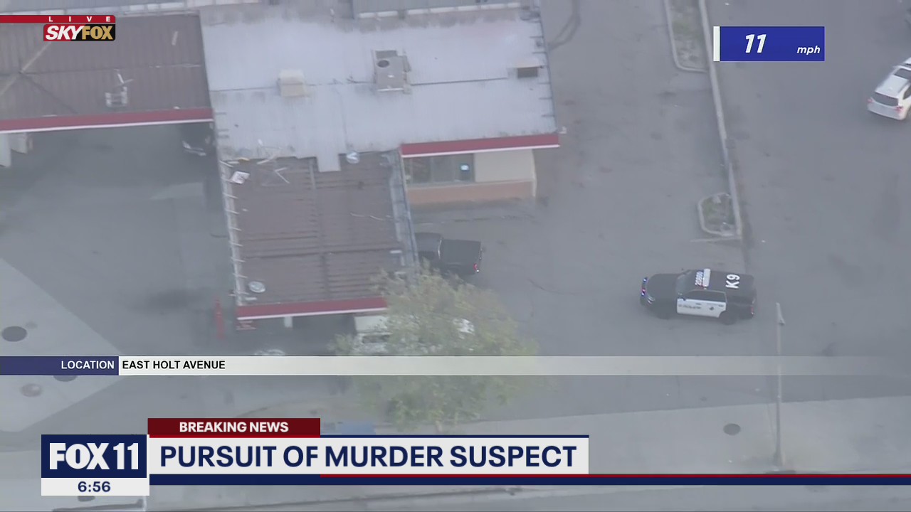 Chase involving possible murder suspect ends in crash