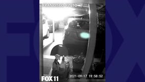 Neighborhood dogs bark before Carson earthquake