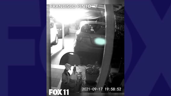 Neighborhood dogs bark before Carson earthquake