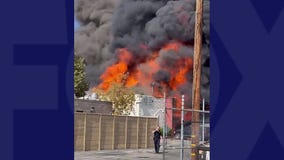 Canoga Park: Nearby business shared video of large fire at reported marijuana grow operation