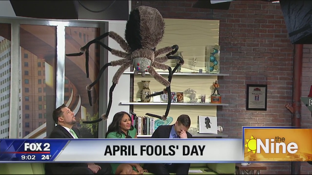 April Fool's spider prank on The Nine