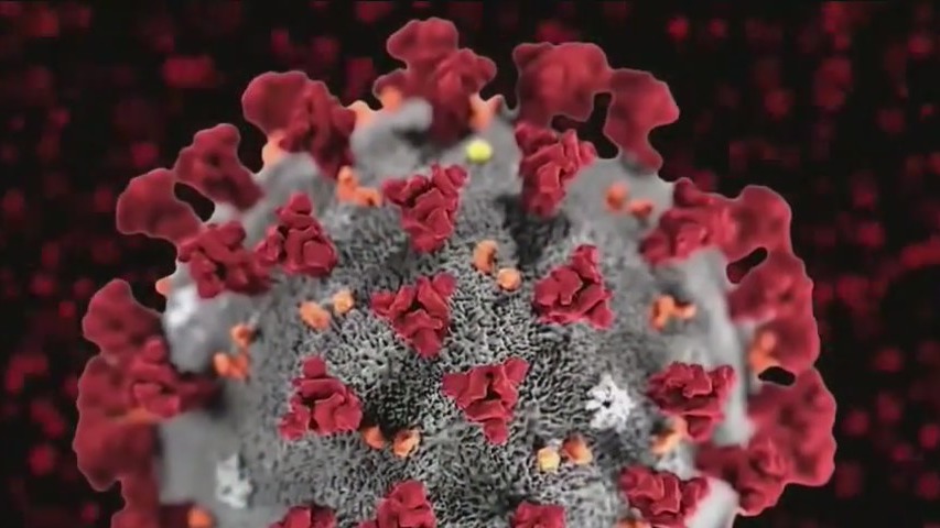 Concerns and fears over Omicron