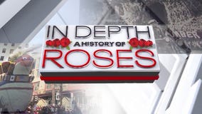 Full Episode: In Depth's the History of Roses 2022