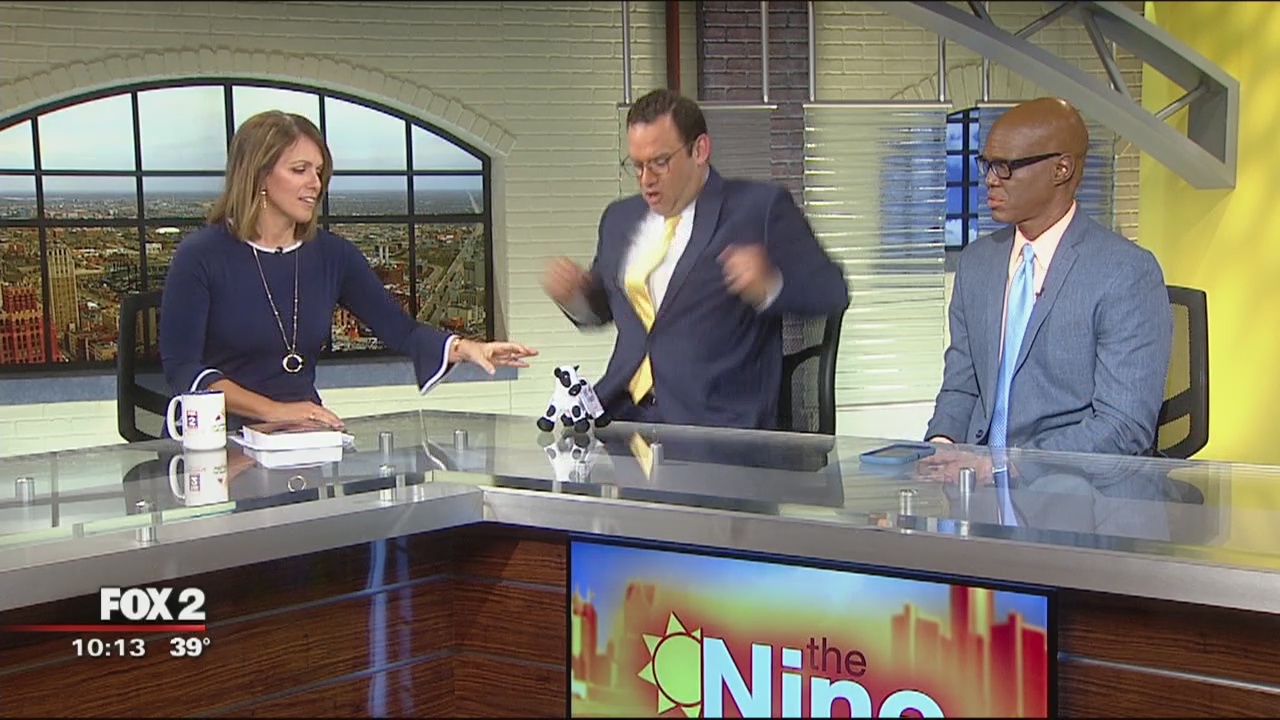 FOX 2 News Morning: The Nine