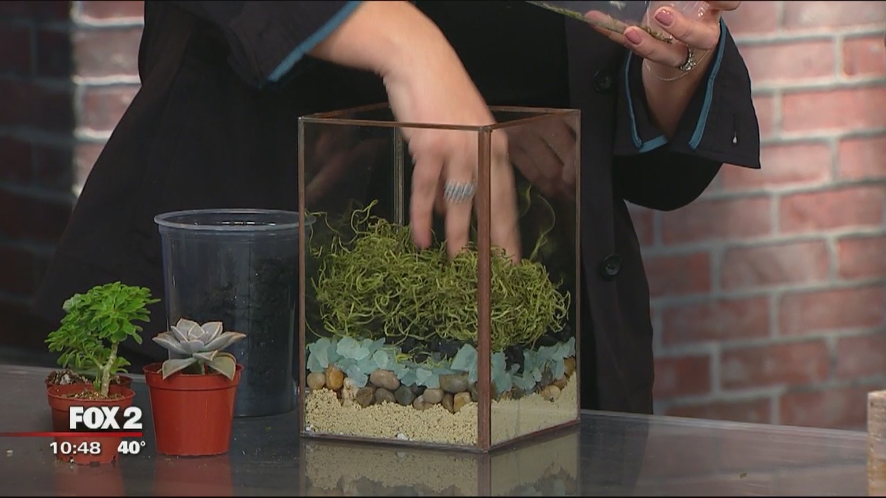 DIY Terrariums