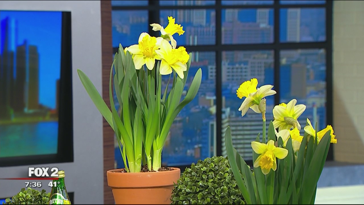 Spring and Easter Decor