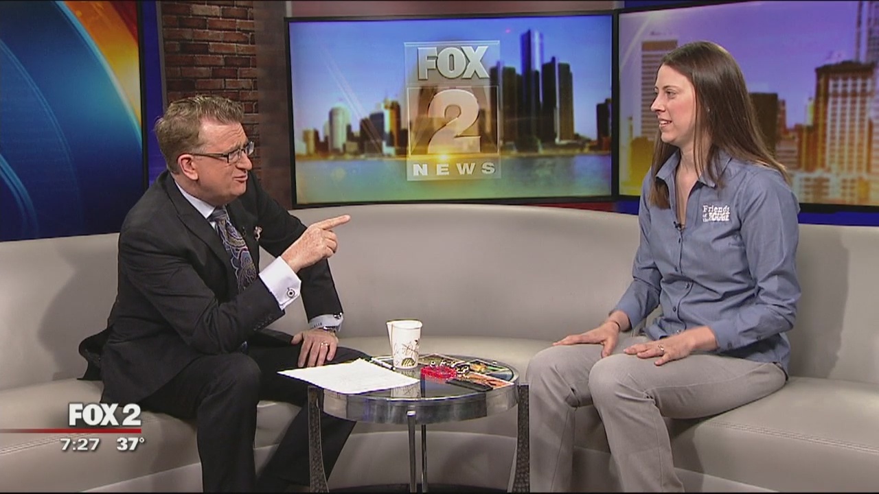 Spring Cleaning the Rouge