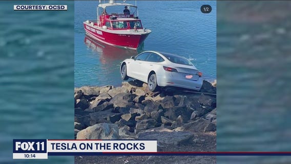 Tesla on the rocks in Dana Point