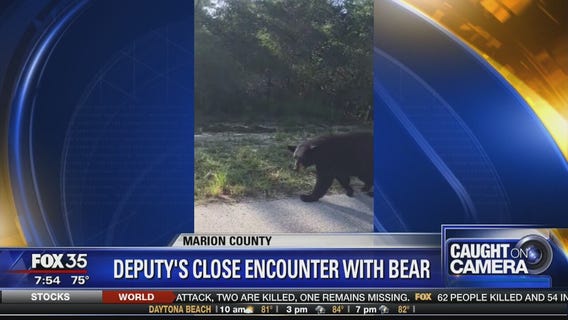 Deputy's close encounter with a black bear