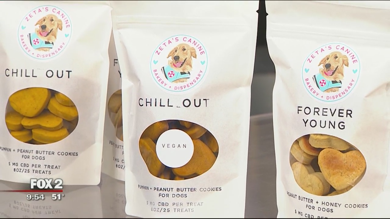CBD treats for dogs