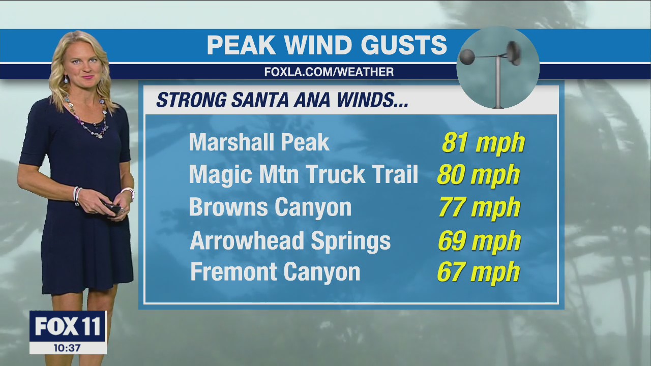 Weather Forecast for Sunday, Nov. 20