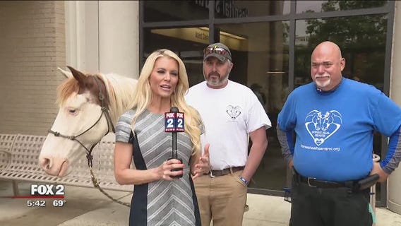 Beaumont, Easter Seals team up on mental health fair to break stigma