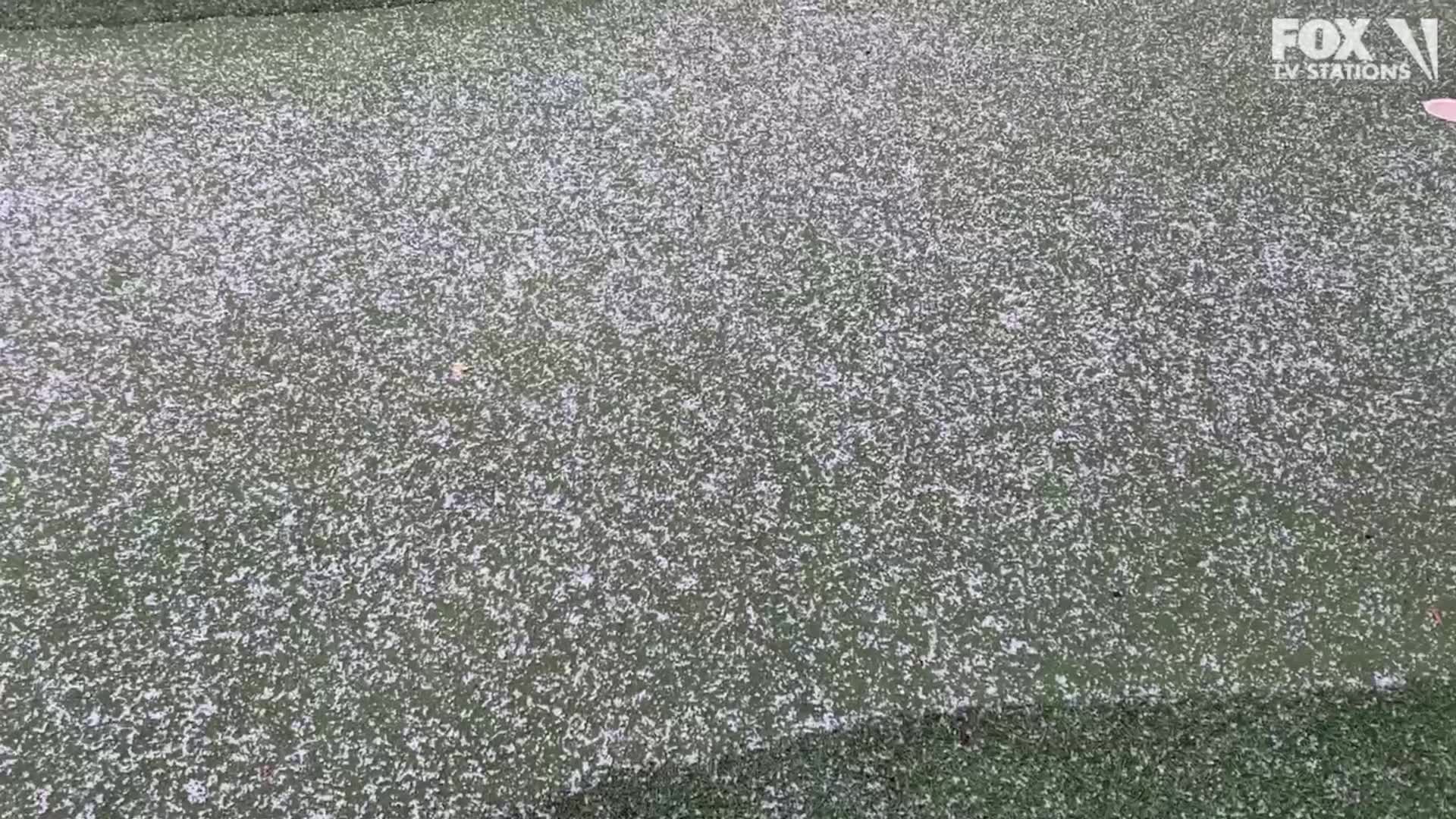 Studio City hit with sleet