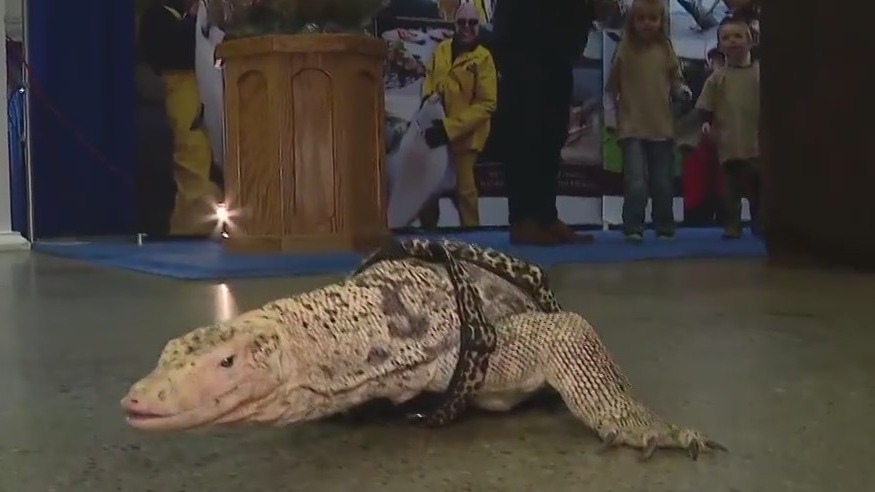 Kids have fun at SoCal's fishing and outdoors show