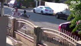 VIDEO: Elderly man assaulted in Baldwin Park