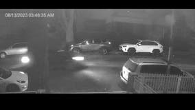 LAPD investigating South LA hit-and-run crash