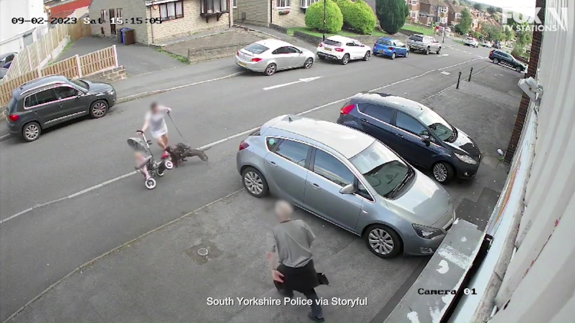 Mom, child caught in middle of dog attack