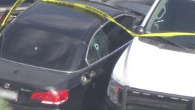 Wild crash, shooting scene in Montclair